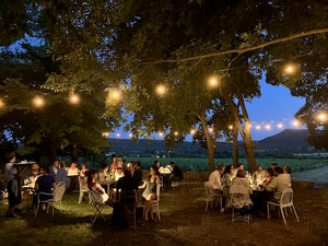 DINER GASTRONOMIQUE face aux vignes  jeudi 10 juillet 2025  par MELBA